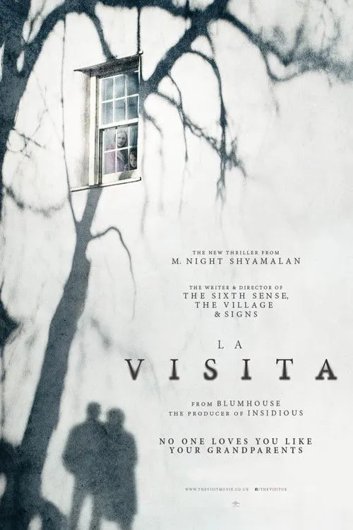 Póster de la película Los huéspedes (2015)
