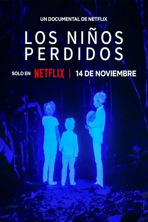 Póster de la película Los niños perdidos (2024)