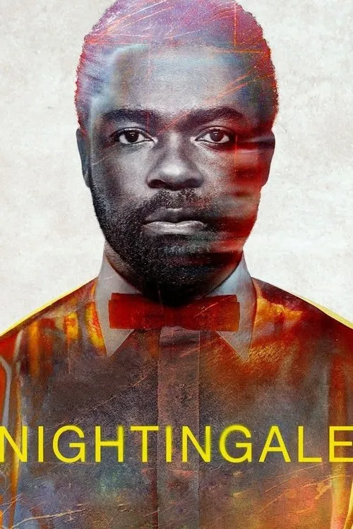 Póster de la película Nightingale (2014)