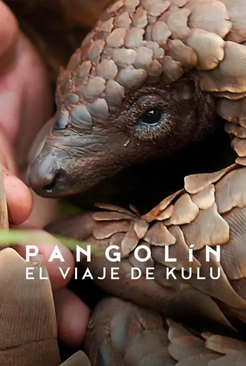 Póster de la película Pangolín: El viaje de Kulu (2025)