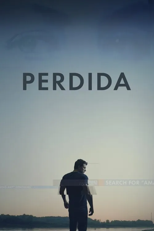 Póster de la película Perdida (2014)