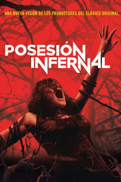 Póster de la película Posesión infernal (2013)