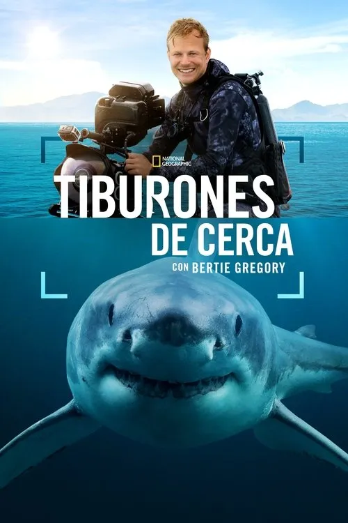 Póster de la película Tiburones de cerca con Bertie Gregory (2025)