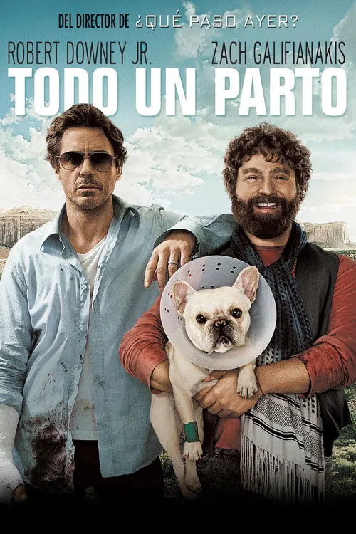 Póster de la película Todo un parto (2010)