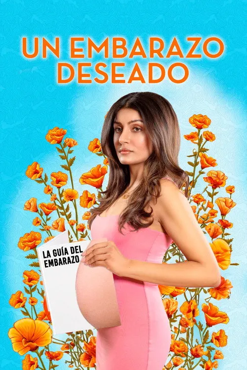 Póster de la película Un embarazo deseado (2011)
