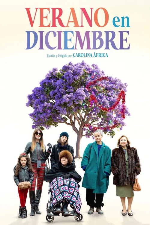 Póster de la película Verano en diciembre (2024)
